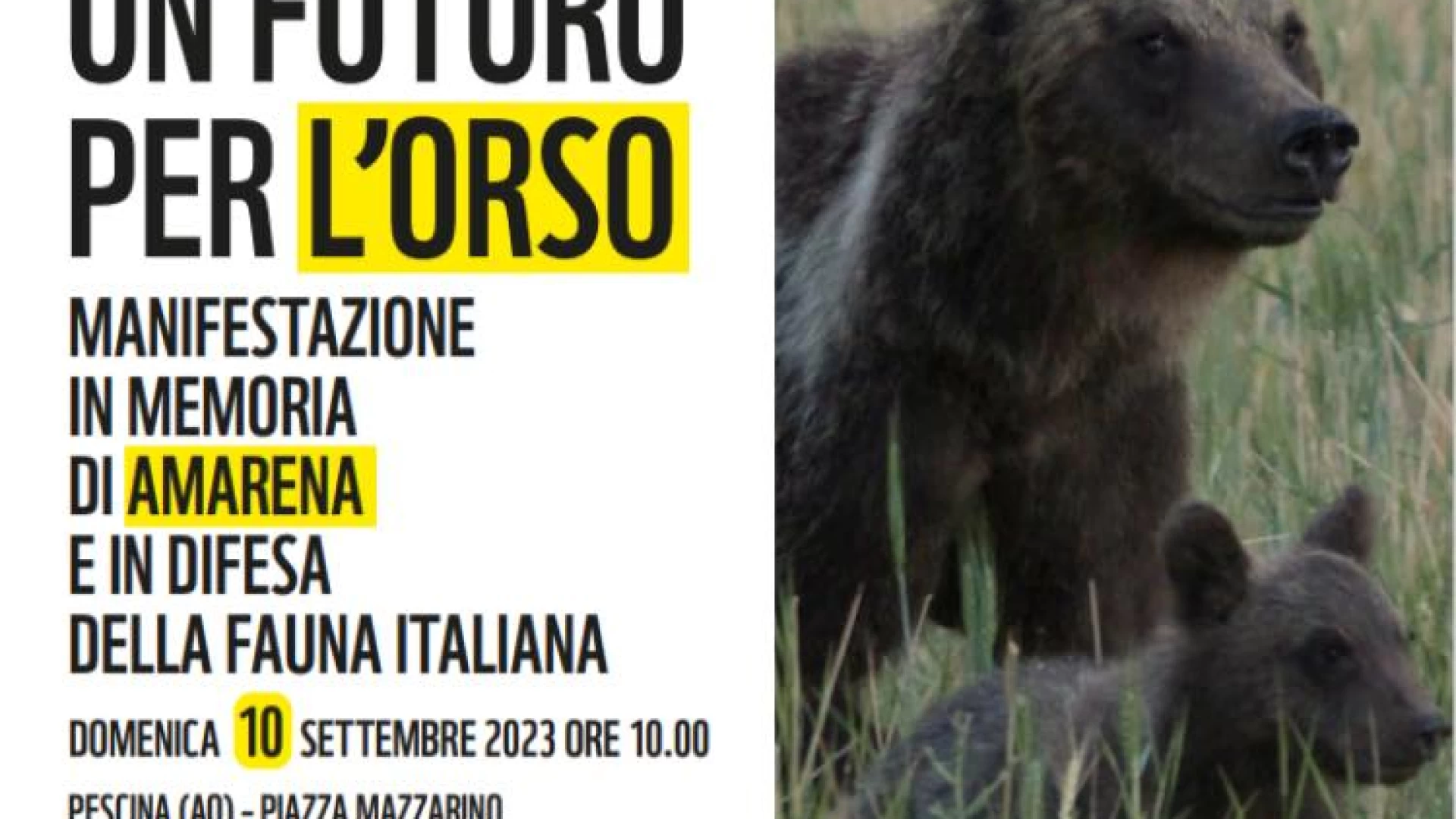 Rewilding Apennines aderisce alla manifestazione “Un futuro per l’orso”